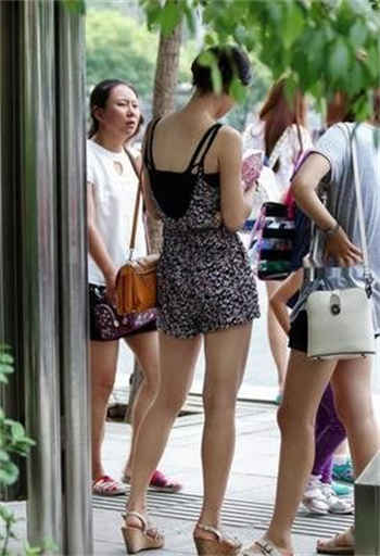 厕所上刘亦菲的小说集