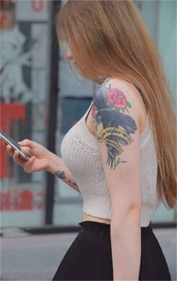 契约软糖 小说