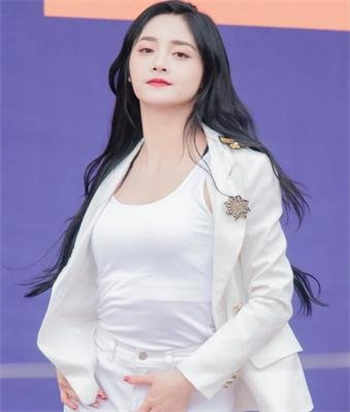 杨门艳史战龙