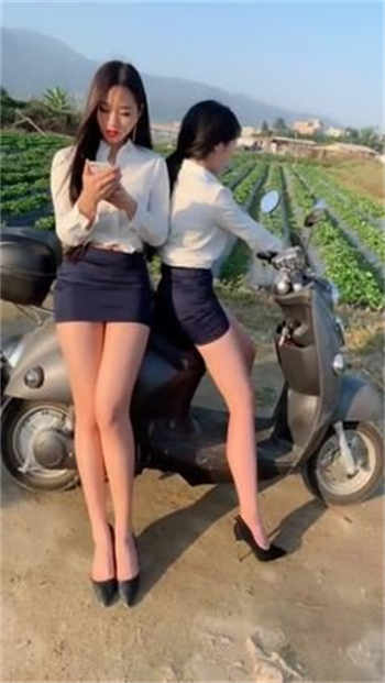 芸柔顾廉赵同16