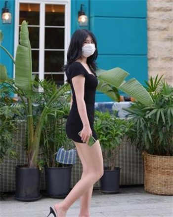 杨思金梅命惑