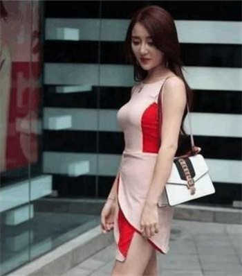书包在线阅读扶摇夫人